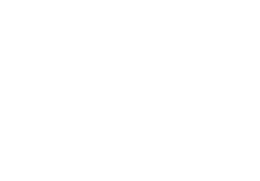 Art Dent Group